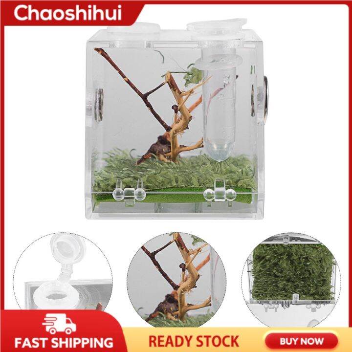 Chaoshihui Strap Pet Cage Cork Bark Jumping Spider Enclosure Habitat ...