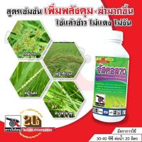 จัสคอล 70 ควบคุมวัชพืชใบแคบ เช่น หญ้าข้าวนก หญ้านกสีชมพู หญ้าดอกขาว หญ้าแดง วัชพืชใบกว้าง เช่น ผักปอดนาหรือผักพริก