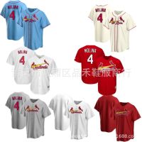 ✣✜❏ MLB baseball jersey Cardinals 4Molina 28 ARENADO jersey