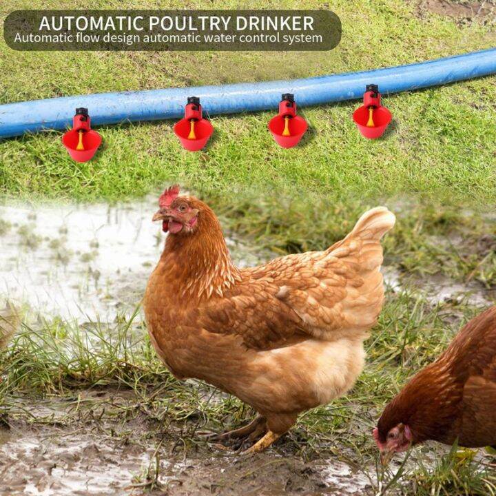 fully-automatic-poultry-drinking-machine-chicken-drinking-cup-chicken-water-nipple-drinker-feeders-waterer-12pcs