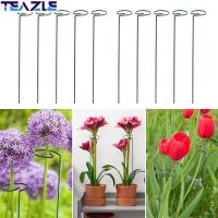 TEAZLE 5Pcs ทนทาน สวน ปีนเขาชั้นวางเถา ก้านยึด กรอบกรงพืช ขาตั้งรองรับพืช กรอบปีนเขา