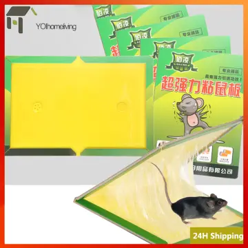 Mouse Trap Harmless Rat Trap Cage Safe Indoor Outdoor Home Automatic  Mousetrap Rat Rodent Exterminator Non-toxic Large Space - AliExpress