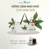 Hồng sâm nho khô giải rượu chunho hàn quốc hổ trợ vượt trội chức năng gan - ảnh sản phẩm 1