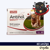 (ของแท้ มีสติกเกอร์โฮโลแกรม) Antinol DOG 60 capsule อาหารเสริมบำรุงข้อ ข้ออักเสบ 1 กล่องบรรจุ 60 แคปซูล(หมดอายุ11/2024)