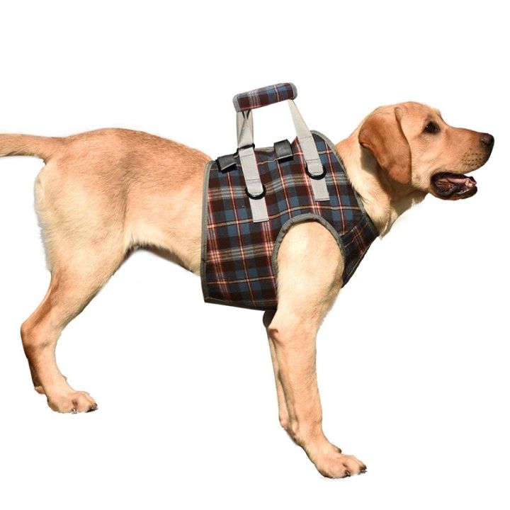 อุปกรณ์ยกสายจูงสุนัขสำหรับสุนัขบาดเจ็บสุนัขสูงอายุสุนัขพิการสายรัดยกสุนัขขนาดใหญ่-j09เข็มขัดเสริมฟื้นฟูสมรรถภาพ