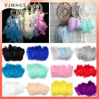 VJMHGS 50pcs ตกแต่งเครื่องประดับ สีธรรมชาติ DIY ของตกแต่งบ้าน ตกแต่งเครื่องแต่งกาย ขนห่าน ขนนกหลากสี