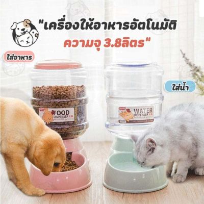 เครื่องให้อาหารแมวอัตโนมัติ ที่ให้อาหารอัตโนมัติ เครื่องให้อาหาร ชามข้าว ชามอาหาร หมา แมว 3.8 ลิตร