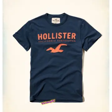 Men's Hollister T-Shirt Hollister Branded Overruns Tees for Men