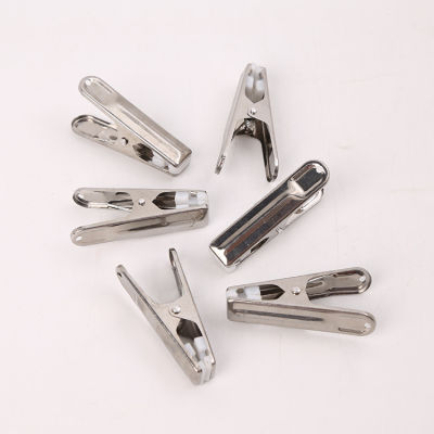 10pcs Multipurpose Stainless Steel Clips with Plastic Sheet Clothing Clips Clothing Clamps Sealing Clip Household Clothespin