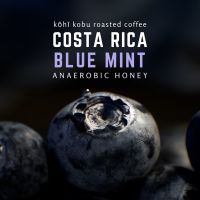 ? [บลูเบอรี่ทั้งฟาร์ม] Costa Rica SHB Blue Mint | กาแฟคอสตาริกาบลูมินต์ | เมล็ดกาแฟคั่วสดใหม่