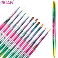 BQAN Colorful Nail Art Brush UV Gel Brush Drawing Painting Brush For Manicure Gel Brush For Nail Art Liner Brush  Manicure Tools Artist Brushes Tools