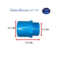 ข้อต่อเกลียวนอก ท่อน้ำไทย (3”) Thai Pipe TS Valve Socket ฟ้า 3 ^^