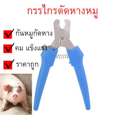 กรรไกรดัดหางหมู กรรไกรตัดหางสุกร ป้อนกันลูกหมูกัดหาง ตีกัน คีมตัดหางหมู