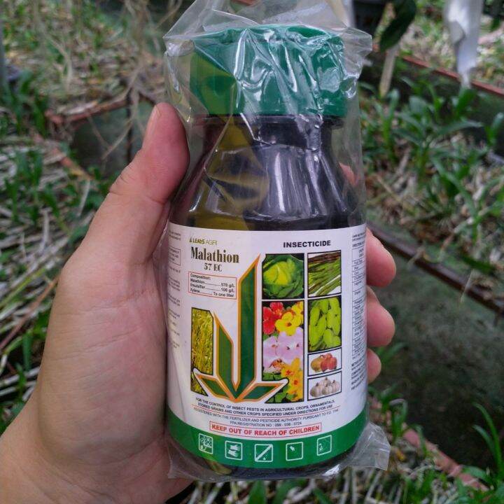 Malathion Insecticide (240ml) for Orchids and Plants Lazada PH