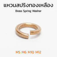 (J) แหวนสปริงทองเหลือง M5 M6 M10 M12 แหวนกันคลายวัสดุทองเหลือง แหวนทองเหลือง Brass Spring Washer