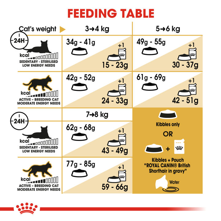 royal-canin-british-shorthair-adult-โรยัล-คานิน-อาหารเม็ดแมวโต-พันธุ์บริติช-ชอร์ทแฮร์-อายุ-12-เดือนขึ้นไป-กดเลือกขนาดได้-dry-cat-food