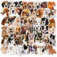 bjh¤▤■  50pcs Retriever Sticker Stationery