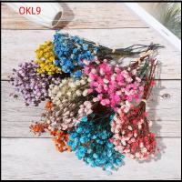 OKL9 สีสัน วัสดุธรรมชาติ ของตกแต่งบ้าน ตกแต่งงานแต่งงาน มินิ Babysbreath ช่อดอกไม้ประดิษฐ์ธรรมชาติ ลำต้นของพืช ดอกไม้จริง