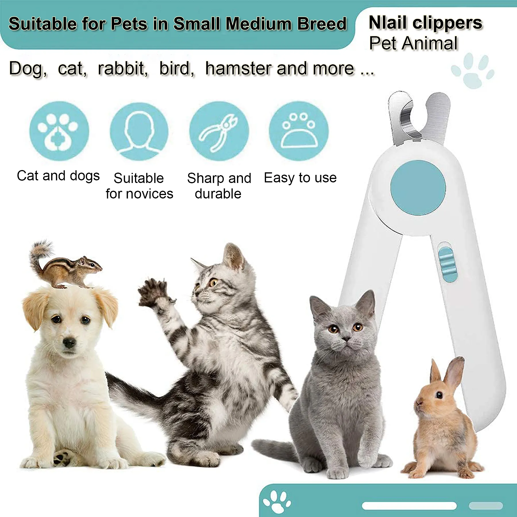 Do Led Lights Bother Dogs