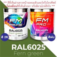 สี RAL6025 Fern green