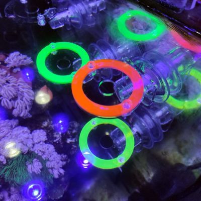 Fish Tank Fluorescent SPS Coral Frag Bracket Coral Growing Plug Holder Acrylic Coral Rack Marine Reef Stand Aquarium Accessories