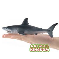 Animal Kingdom - โมเดล Shark ฉลาม ขาว ขนาด 18.00 CM (จากสงขลา)