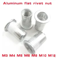 20-100Pcs Aluminum rivet nut M3 M4 m5 M6 M8 M10 M12 Flat Head Rivet Nuts Set Nuts Insert Riveting