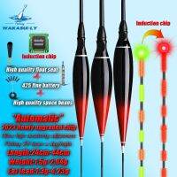 【YF】♤  New Crucian Carp Sensor Float Shallow Fishing Rods Float 425 Battery Outdoor Sensitivity Accessories