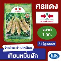 เมล็ดพันธุ์ ผักซอง ศรแดง ข้าวโพดข้าวเหนียว เทียนหมื่นฝัก บรรจุ 1 กิโลกรัม