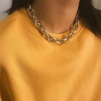 Punk Choker Necklace Collar Fashion Hip Hop Big Chunky Aluminum Gold Silver Color Thick Neck Chain Jewelry for Women Accessories Fashion Chain Necklac