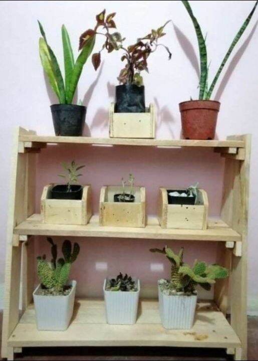 Neo Kraft - 3 layer Easy to Assemble Plant Rack for Cactus, Succulents ...