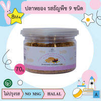 ปลาหยอง รสธัญพืช 9 ชนิด (บดละเอียด) 70 กรัม (ตราบ้านรยา BAANRAYA)  อาหารเด็ก อาหารสำหรับเด็ก(RAYA)