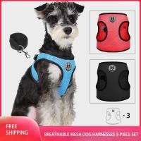 3 PCS Pet Harnesses Leash Set Adjustable Vest Small Dog Cat Harnesses Reflective Breathable Mesh Small Dog Cat Traction Rope Set