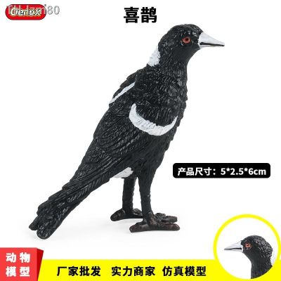 🎁 ของขวัญ Children in montessori teaching AIDS simulation birds animal model of magpie guest sparrow parrot plastic toys