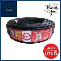 สายไฟ NATION รุ่น 60227 IEC 53 VCT 2x2.5 Sq.mm. 100 ม. ขนาด 100 ม. สีดำ **สอบถามเพิ่มเติมได้จ้า**