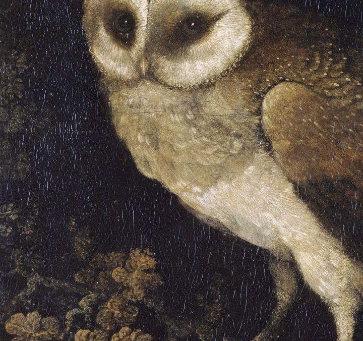 night-owl-art-พิมพ์-dark-black-moody-โปสเตอร์-vintage-gothic-skull-ภาพวาดผ้าใบ-dark-academia-ภาพผนังตกแต่งห้องนั่งเล่น