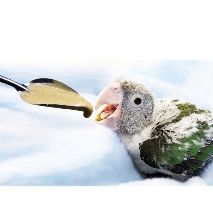 ช้อนป้อนอาหารนก-ช้อนป้อนอาหารลูกนก-ช้อนป้อนอาหารนกป่วย-bird-12cm