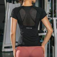 【Hot Sale】embellishembellish RunningWomen แขนสั้น SportswearTopBreathable หญิงกีฬาเสื้อผ้า ForWorkout เพาะกาย