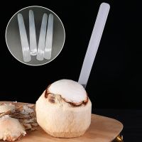 ﹊✐₪ Easy to operate Fruit Tool Coconut Meat Remover Kitchen Gadgets Egg Soft Knife Shaver Coconuts Tools