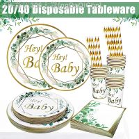 【CW】▦✴  20/40 Servings Disposable Tableware Baby Shower Supplies Jungle Leaves Napkin Plate Boy