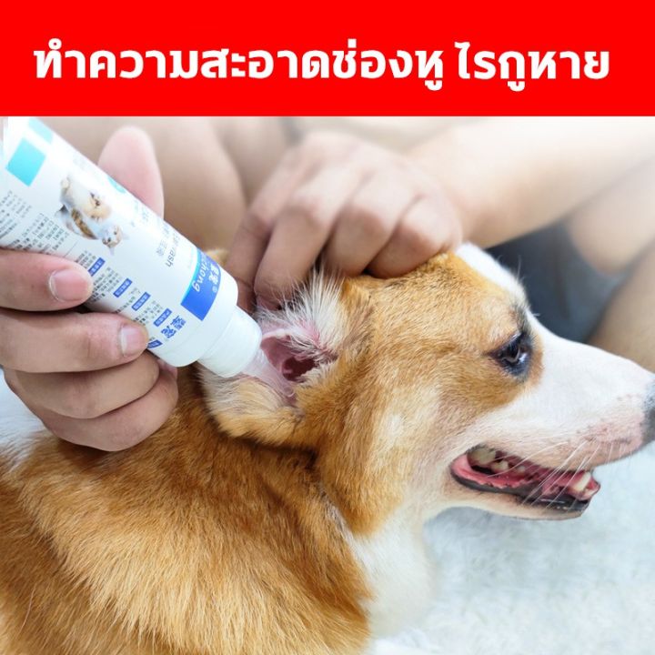 bhq-pet-codยาหยอดหูแมว120ml-ป้องกันไรหูแมว-สุนัข-หมา-หูอักเสบ-ดับกลิ่นหู-น้ำยาเช็ดทำความสะอาดหู-โลชั่นเช็ดหู-แมว-ยาหยอด