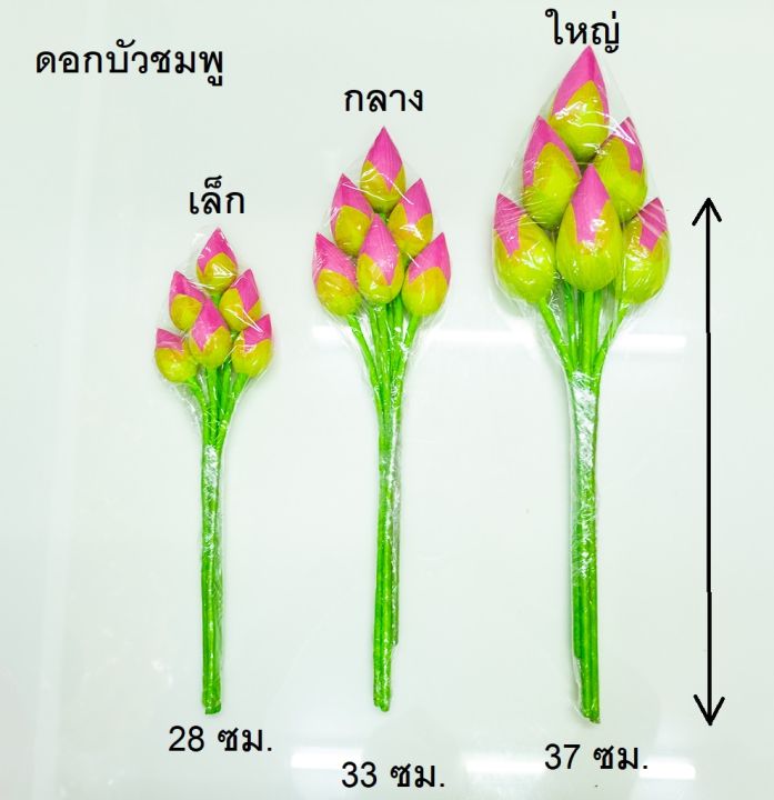 ดอกบัวกำ-เงิน-ทอง-ชมพู-เขียว-ขนาดจิ๋ว-เล็ก-กลาง-ใหญ่