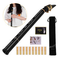 C Key Mini Pocket Saxophone Sax ABS Material with Mouthpieces 10pcs Reeds Carrying Bag Woodwind Instrument