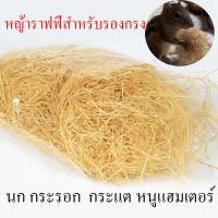 หญ้าราฟฟี่ รังนอนสำหรับสัตว์ นกทุกขนาด กระรอก กระแต หนู แฮมเตอร์ สีธรรมชาติ กลิ่นหอมจากธรรมชาติ นำเข้า