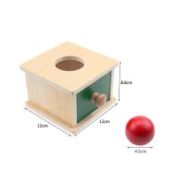 Montessori Materials Match Box Ball Box Coin Box Piggy Bank Set Toys for Toddler Solid Wood Infant Basic Life Skill Wooden Toy
