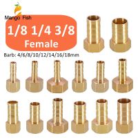 Brass Hose Fitting 6/8/10/12/14/18mm Barb Tail 1/8 1/4 3/8 BSP Female Thread Copper Connector Coupler Adapter