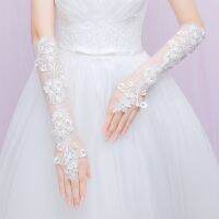 ✙✟❖ Womens Lace Appliques Mesh Bridal Gloves Fingerless Elbow Length Long Wedding Party Gloves