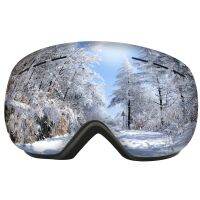 Adult Ski Goggles Large Spherical Glasses Winter Snow Sports Goggles Double-layer Anti Fog Interchangeable Lens Premium Goggles