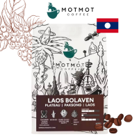 Laos Bolaven Plateau Paksong Grade Premium (Washed) | เมล็ดกาแฟคั่ว MOTMOT COFFEE