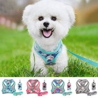 New 3 Pcs Pet Dog Harness Leash With Poop Bag Dispenser Set Reflective Puppy Cat Harness Vest Pug Chihuahua Walking Lead Leash